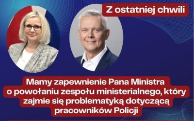 Zapewnienie o powołaniu zespołu ministerialnego